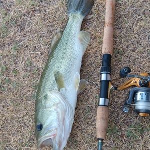 Meet your Posher, Ernie